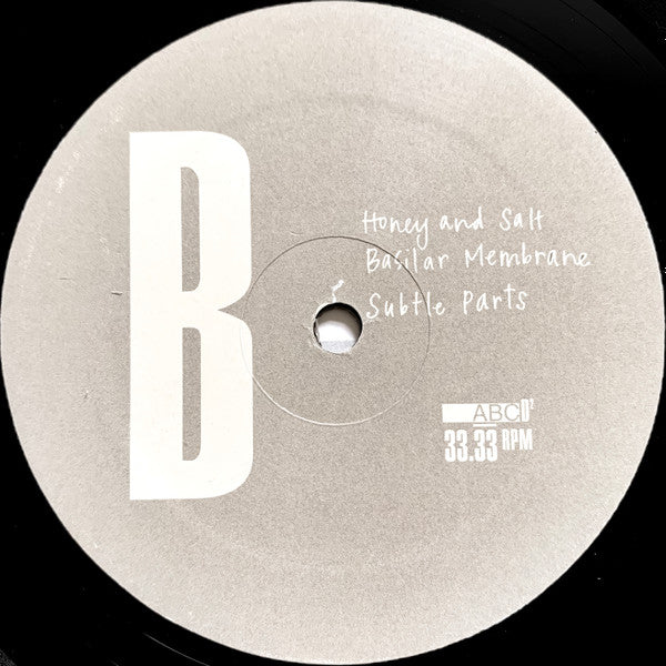 Blame Game : Honey And Salt (LP, Album)