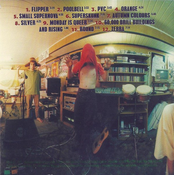 Metal Molly : Surgery For Zebra (CD, Album)