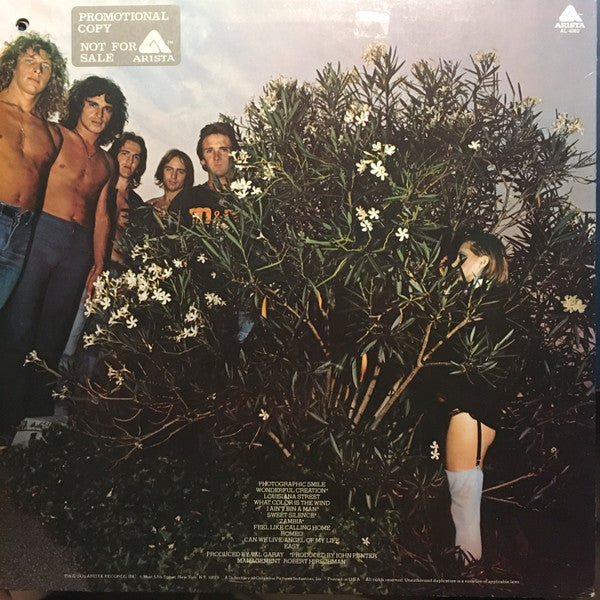 Mr Big : Photographic Smile (LP, Album, Promo)