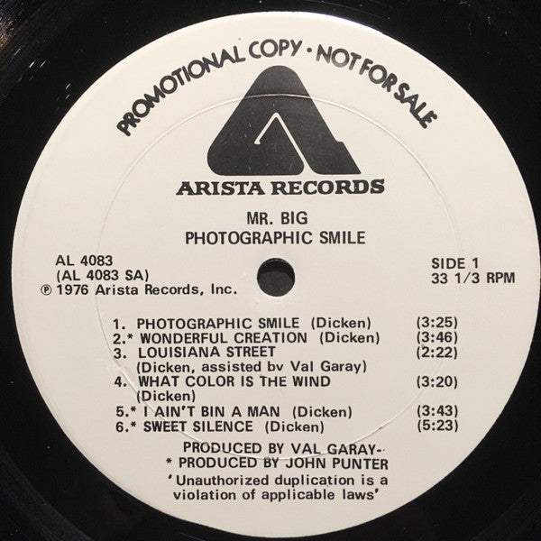 Mr Big : Photographic Smile (LP, Album, Promo)