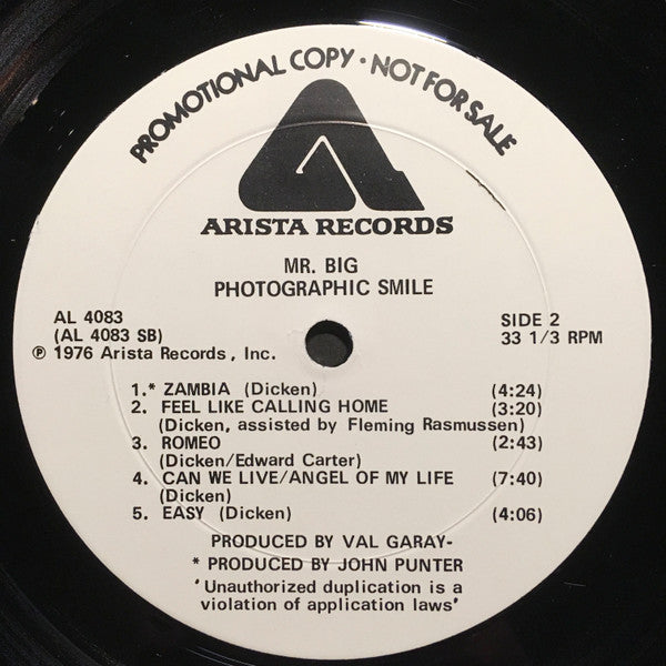 Mr Big : Photographic Smile (LP, Album, Promo)