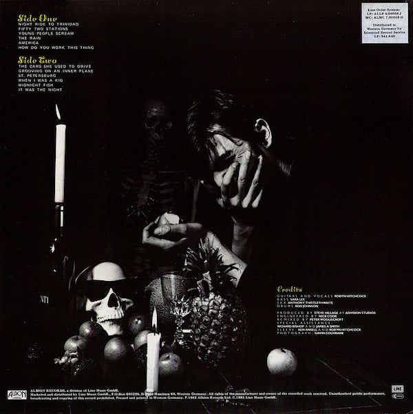 Robyn Hitchcock : Groovy Decay (LP, Album, RE, Whi)