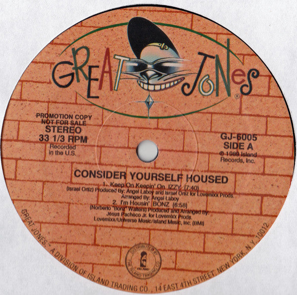 Various : Consider Yourself Housed (LP, Comp, Promo)