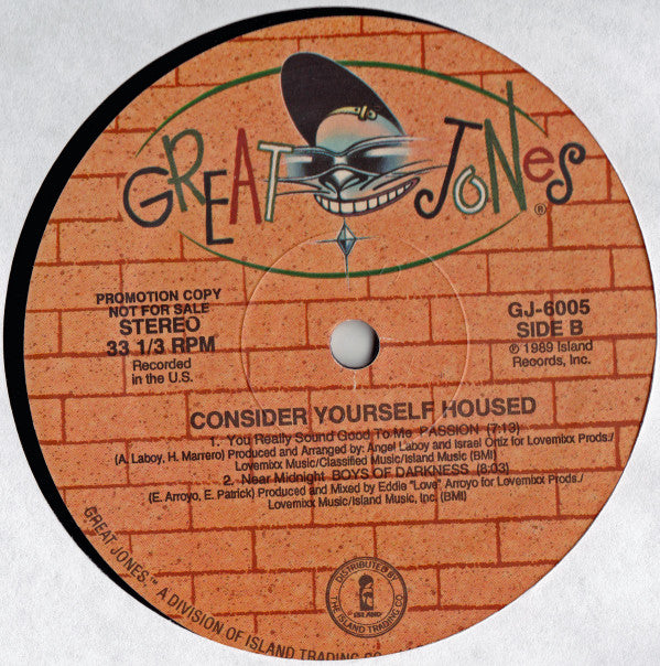 Various : Consider Yourself Housed (LP, Comp, Promo)