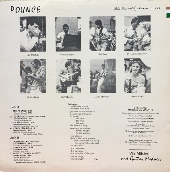 Vin Mitchell* And Guitar Madness (2) : Pounce (LP, Album)