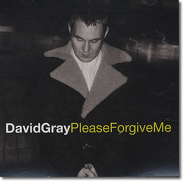 David Gray : Please Forgive Me (CD, Single, Promo)