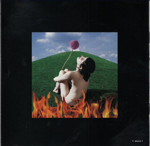 Paula Cole : This Fire (HDCD, Album, SRC)