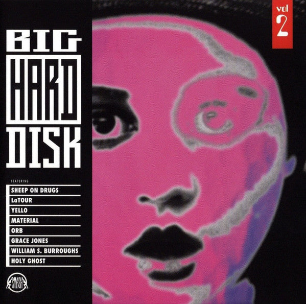 Various : Big Hard Disk Vol. 2 (CD, Comp)