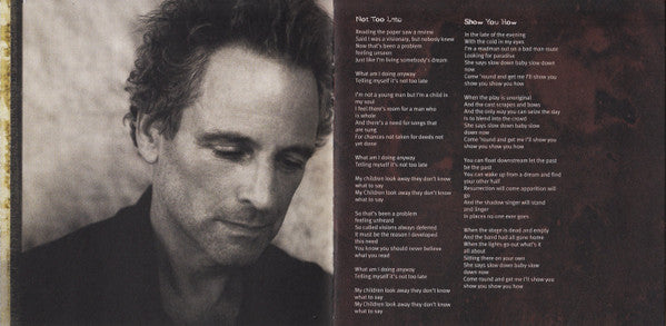 Lindsey Buckingham : Under The Skin (CD, Album)