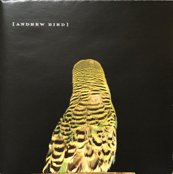 Andrew Bird : Armchair Apocrypha  (CD, Album)