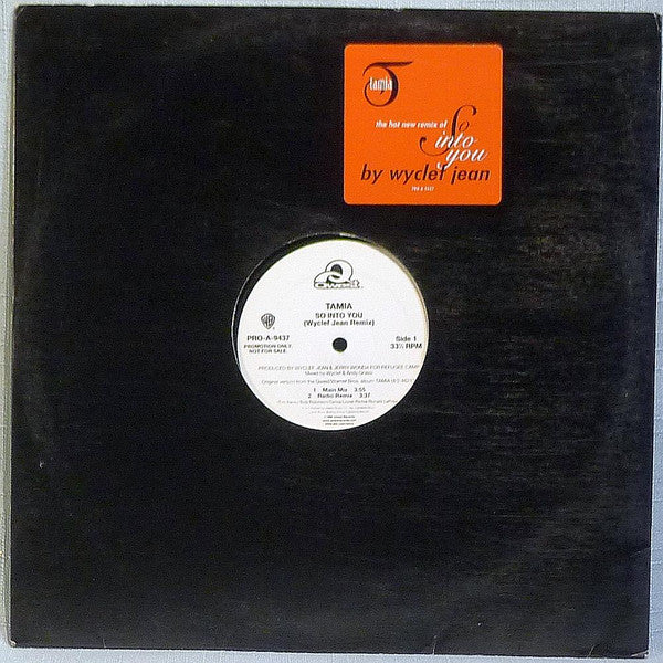 Tamia : So Into You (Wyclef Jean Remix) (12", Promo)