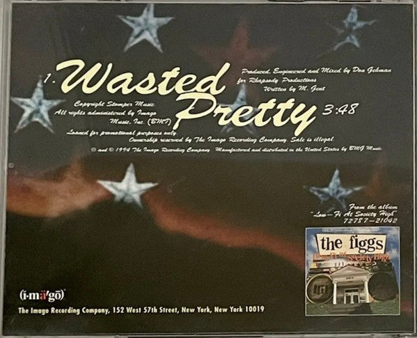 The Figgs : Wasted Pretty (CD, Single, Promo)