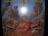 Various : Unleashed From The Northeast (LP, Comp)