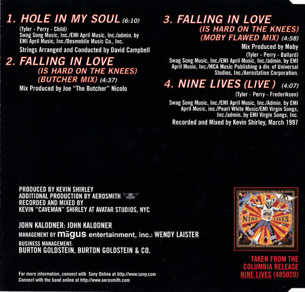 Aerosmith : Hole In My Soul (CD, Maxi)