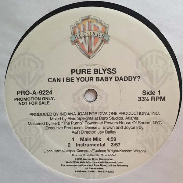 Pure Blyss : Can I Be Your Baby Daddy? (12")