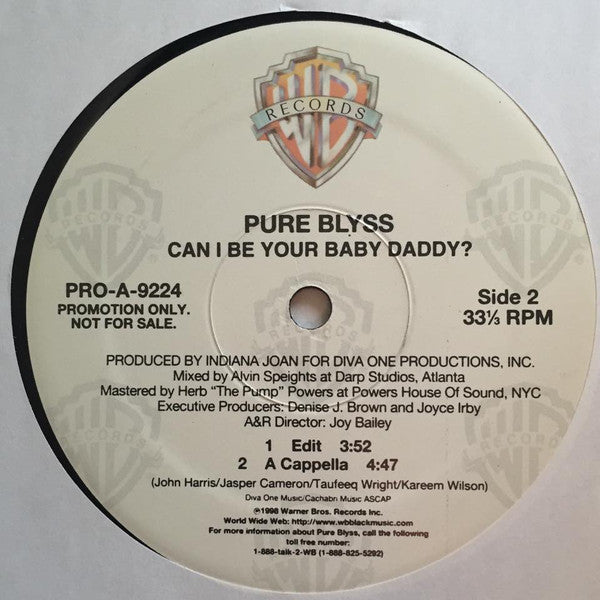 Pure Blyss : Can I Be Your Baby Daddy? (12")