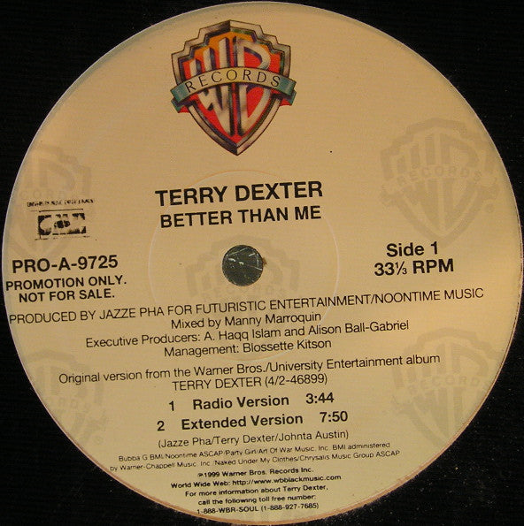 Terry Dexter : Better Than Me (12", Promo)