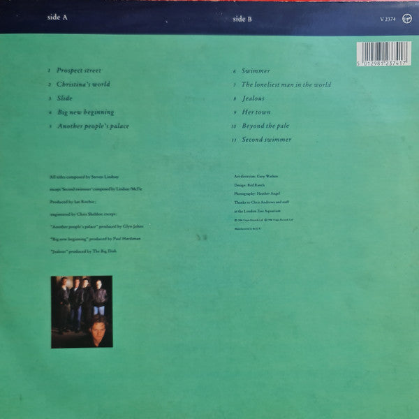 The Big Dish : Swimmer (LP, Album)