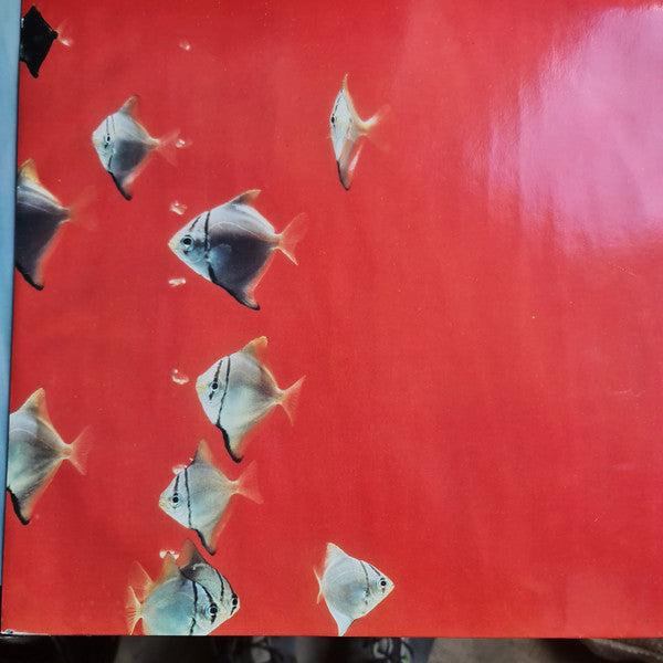 The Big Dish : Swimmer (LP, Album)