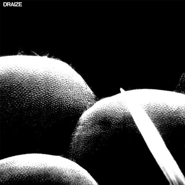 Draize : Draize (12", Album)