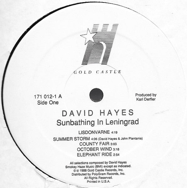 David Hayes : Sunbathing In Leningrad (LP, Album)