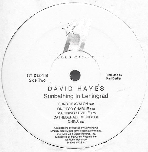 David Hayes : Sunbathing In Leningrad (LP, Album)