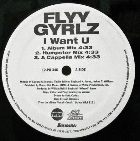 Flyy Gyrlz : I Want You (12")