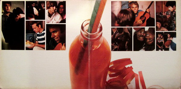 The Beach Boys : Beach Boys' Party! (LP, Album, Mono, Gat)