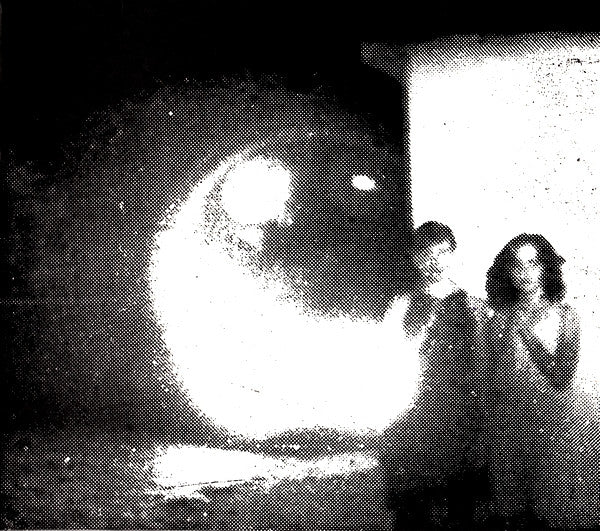 Other Lives : Tamer Animals (CD, Album)