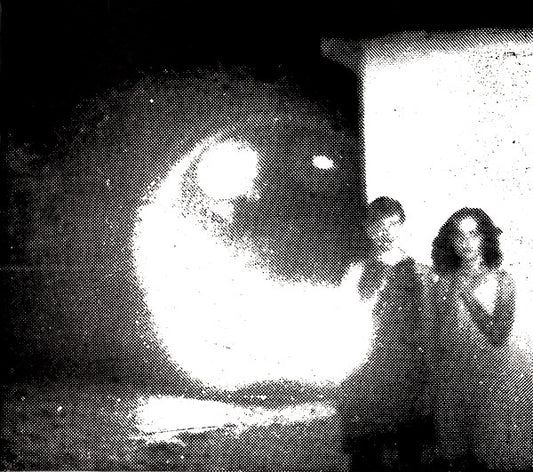 Other Lives : Tamer Animals (CD, Album)