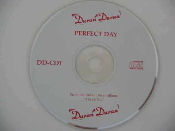 Duran Duran : Perfect Day (CD, Single, Promo)