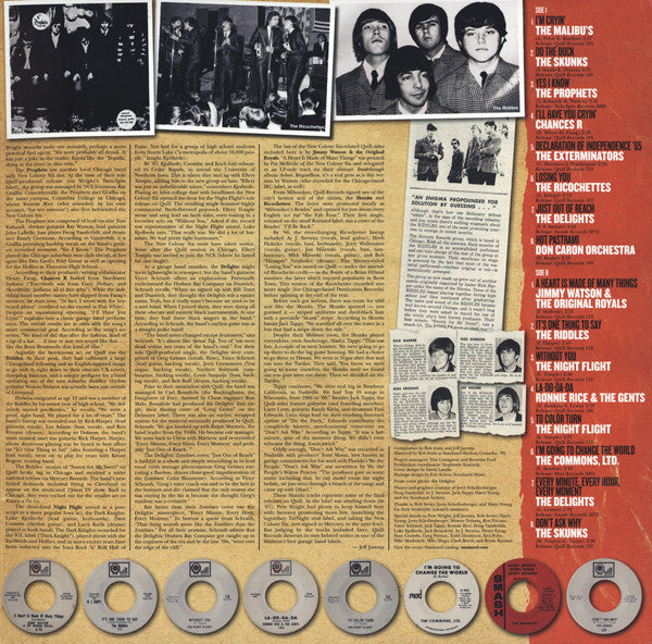 Various : We're Gonna Change The World! (The 60's Chicago Garage Sound Of Quill Productions) (LP, Comp, Mono, Gol)