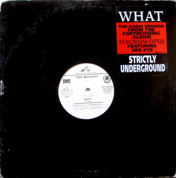 Top Quality : What (12", Promo)