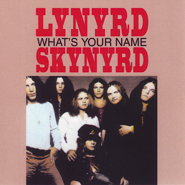 Lynyrd Skynyrd : What's Your Name (CD, Comp)