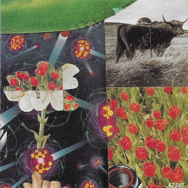 Chris Whitley : Terra Incognita (CD, Album, Enh)