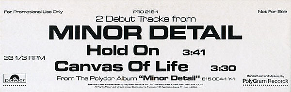 Minor Detail : Canvas Of Life (12", Promo)