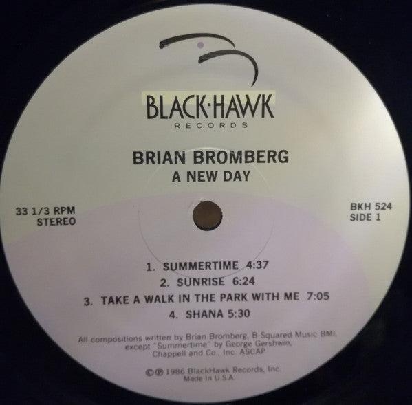 Brian Bromberg : A New Day (LP, Album)
