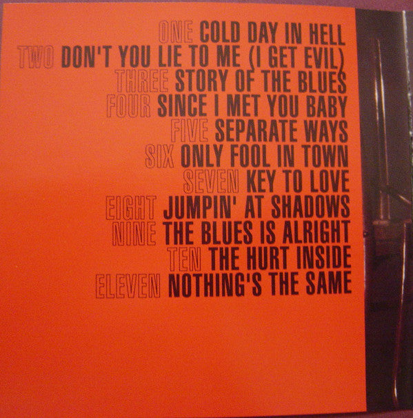 Gary Moore : After Hours (CD, Album)
