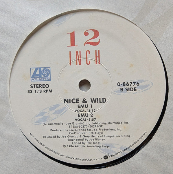 Nice & Wild : Diamond Girl (12", Single)