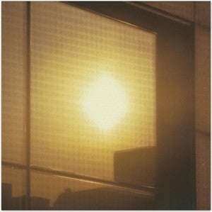 Celestino : Protector's Tea (LP, Album)