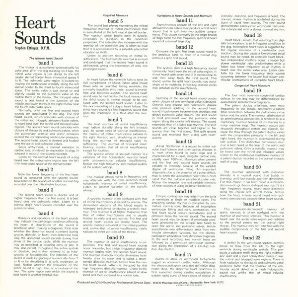 Stephen Ettinger, D.V.M. : Canine Heart Sounds (LP)
