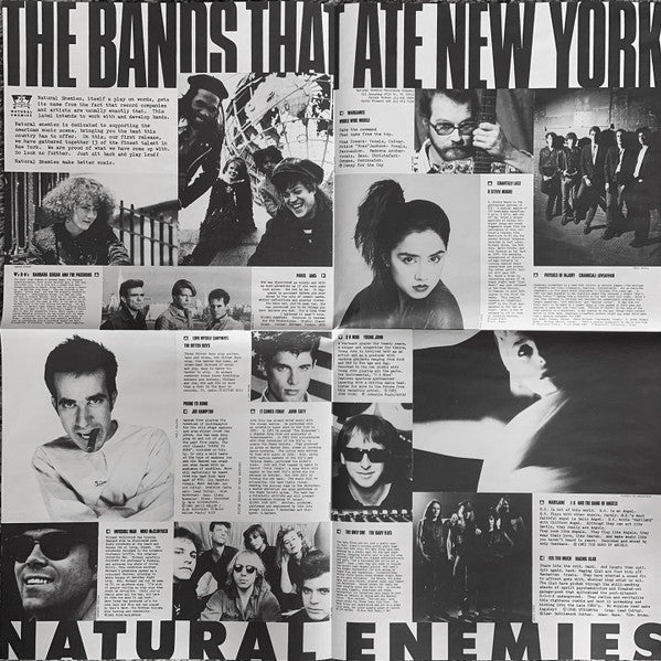 Various : The Bands That Ate New York (LP, Comp)