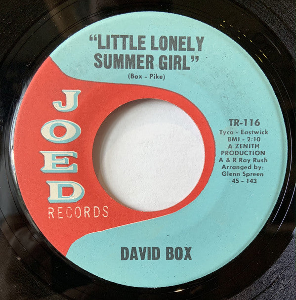 David Box : Little Lonely Summer Girl / No One Will Ever Know (7", Single)