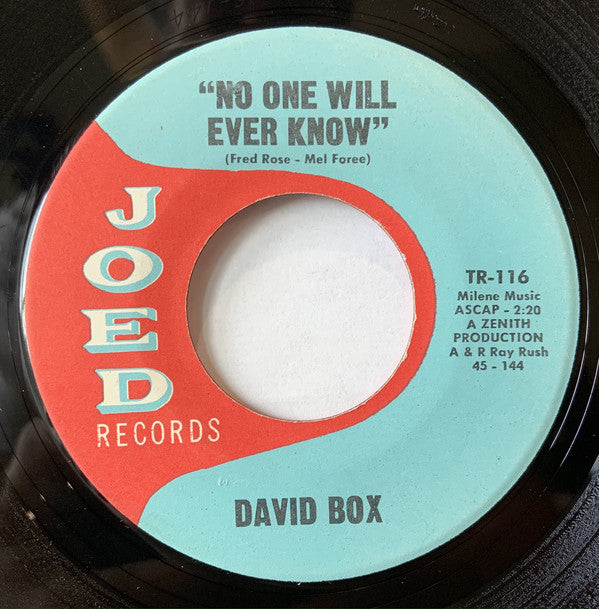 David Box : Little Lonely Summer Girl / No One Will Ever Know (7", Single)