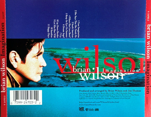Brian Wilson : Imagination (CD, Album, WEA)