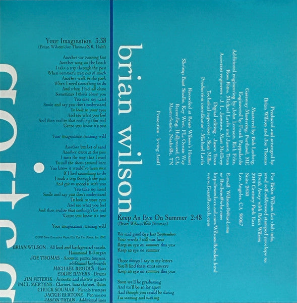 Brian Wilson : Imagination (CD, Album, WEA)