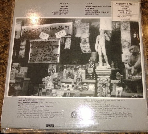 Mick And The Maelstroms : Privates (LP)