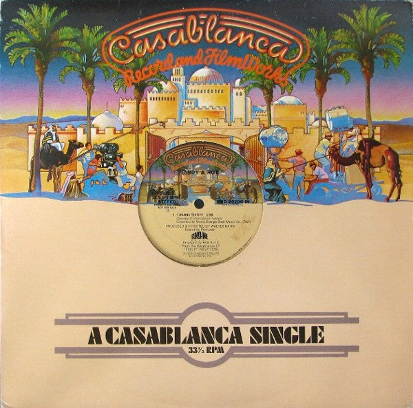 Cindy & Roy : I Wanna Testify (12", Single, Promo)