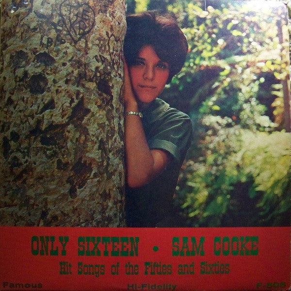 Sam Cooke : Only Sixteen - Hit Songs Of The Fifties And Sixties (LP, Comp)