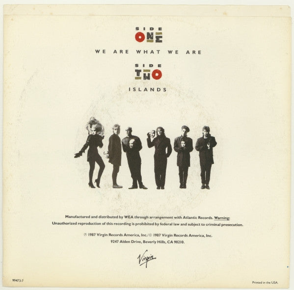 The Other Ones : We Are What We Are (7", Single)
